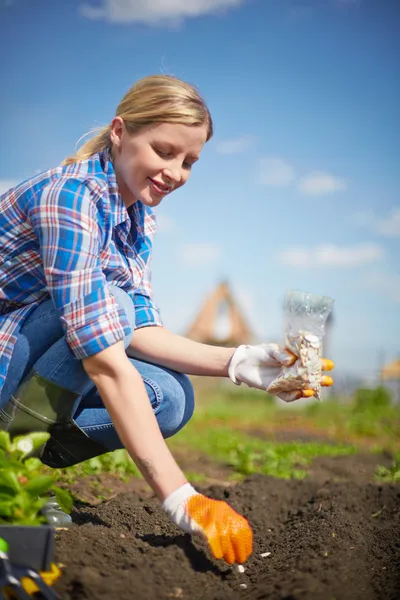 Agricultor siembra semillas — Foto de Stock