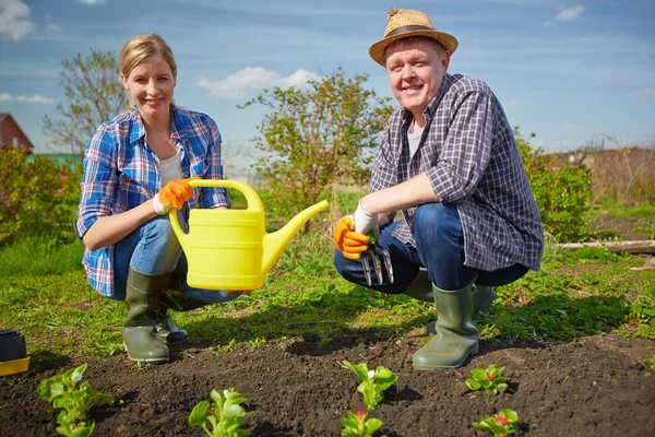 Bauern arbeiten im Garten — Stockfoto