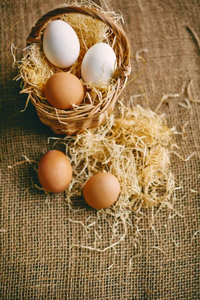 Ägg på hessian — Stockfoto