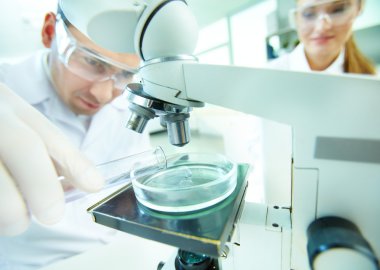 Laboratuar Araştırmaları