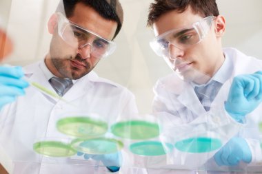 klinisyenler sıvı analizi