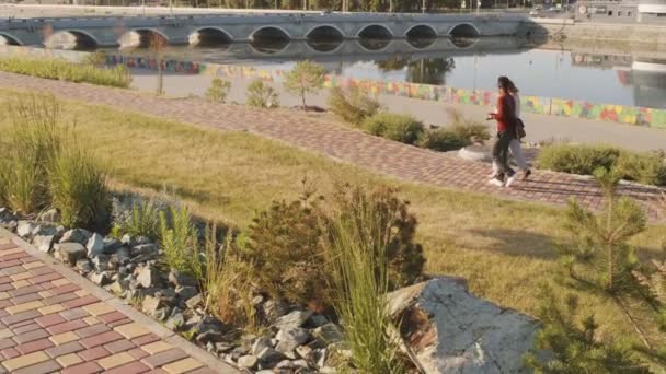 在阳光明媚的日子里 一对现代的跨种族商业伙伴在城市海滨散步 聊着天 — 图库视频影像