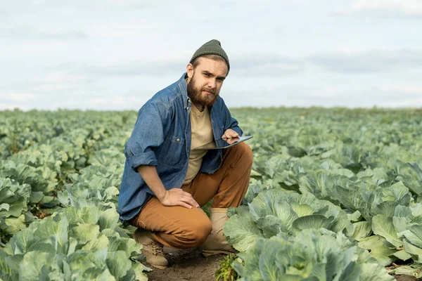 Joven agricultor seguro con tableta mirando a la cámara —  Fotos de Stock