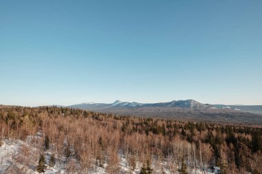 Mavi gökyüzü, dağlar ve ormanın manzarası.