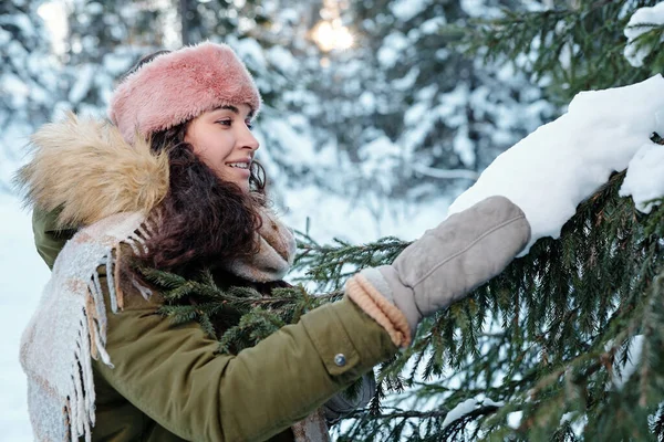 Молода жінка в зимовому одязі торкається снігу на гілці ялинки — стокове фото