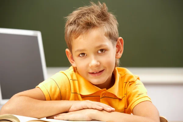 Smart boy during reading lesson Stock Picture