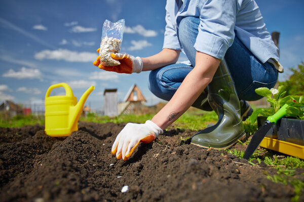 Женщина в саду
