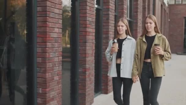 Tracking Shot Happy Young Twin Sisters Holding Hands Chatting Ενώ — Αρχείο Βίντεο