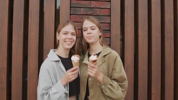 Foto Retrato Irmãs Gêmeas Felizes Anos Desfrutando Sorvete Livre Rindo — Vídeo de Stock