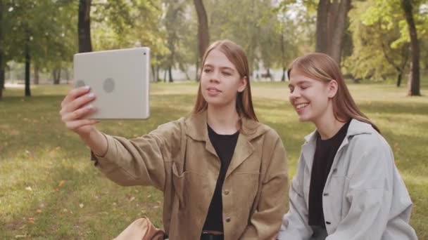 여름날 공원의 누군가와 비디오 통화를 쌍둥이 자매의 — 비디오