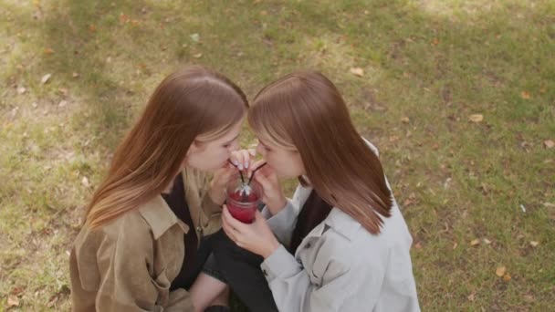 Weitwinkelaufnahme Von Glücklichen Zwillingsschwestern Die Auf Grünem Gras Park Sitzen — Stockvideo