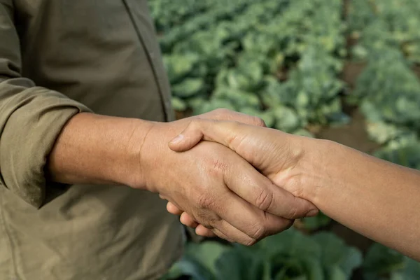 Apretón de manos entre especialista agrícola y propietario de la plantación — Foto de Stock