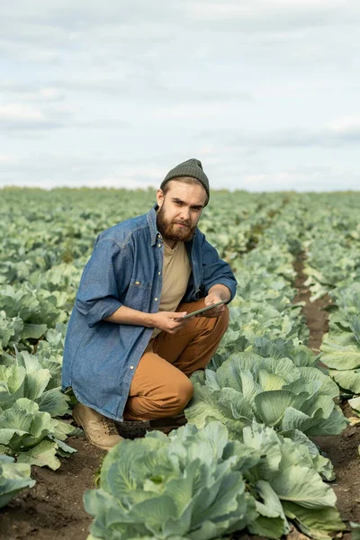 Trabalhador da agricultura bonito — Fotografia de Stock