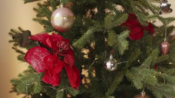 Handheld Close Christmas Tree Decorated Baubles Red Artificial Poinsettia Flowers — Stock Video