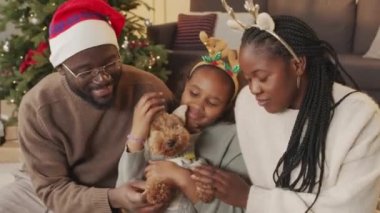 Mutlu Afro-Amerikan baba, anne ve kız şenlik şapkası ve saç bandı takmış, gülümseyen ve Noel ağacıyla oturma odasında otururken köpeğini okşayan bir fotoğraf.