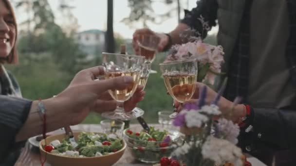 Sluit Het Midden Van Vrienden Picknicken Buiten Zomeravond Klinkende Glazen — Stockvideo