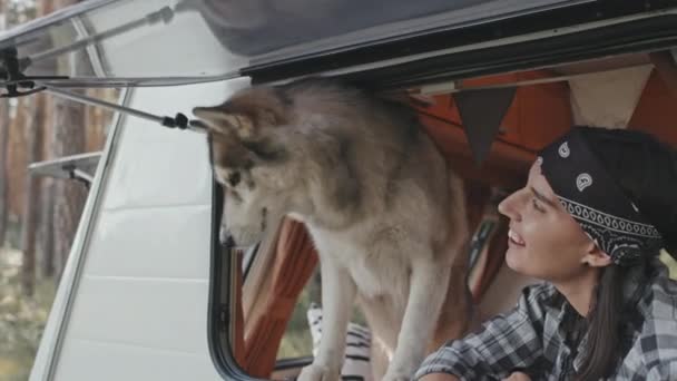 Handheld Close Com Lentidão Feliz Jovem Mulher Bandana Bonito Cão — Vídeo de Stock