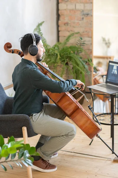 Genç erkek müzik öğretmeni dizüstü bilgisayarın önünde çello çalıyor. — Stok fotoğraf
