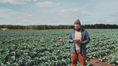 Modern lahana çiftliği sahibinin dijital tablet kullanarak satırları sayarken orta boy yatay görüntüsü