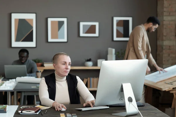 Poważna dojrzała projektantka patrząc na ekran komputera — Zdjęcie stockowe