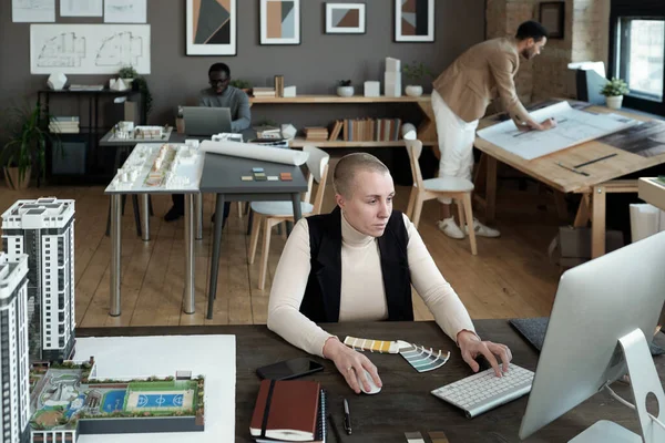 Contemporary female designer or architect looking at screen of computer — Stock Photo, Image