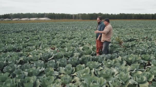 Dva Muži Kráčející Zelinářském Poli Hovořící Plánech Sklizeň Záběry Dálky — Stock video