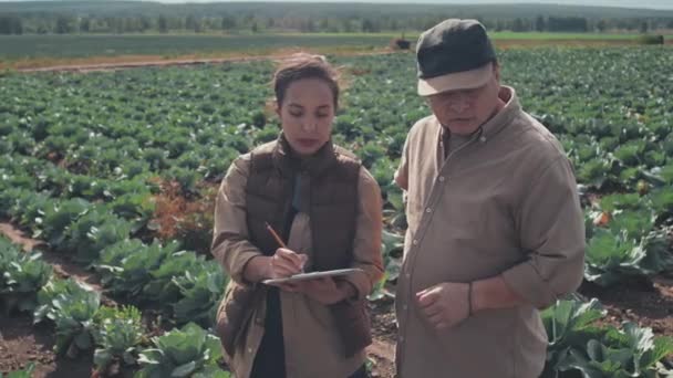 Homme Mûr Jeune Femme Adulte Travaillant Ensemble Sur Terrain Agricole — Video
