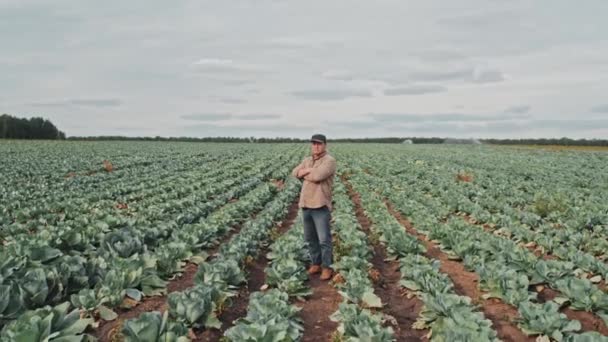 Збільшити Портрети Упевнених Зрілих Азіатських Фермерів Стоячих Руками Схрещені Дивлячись — стокове відео