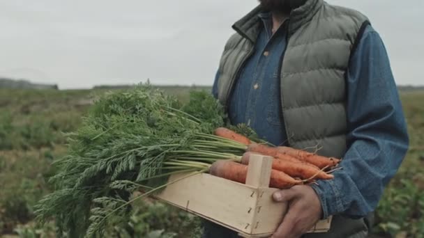 Střední Část Záběru Nerozpoznatelného Farmáře Držícího Dřevěnou Skříňku Plnou Mrkví — Stock video