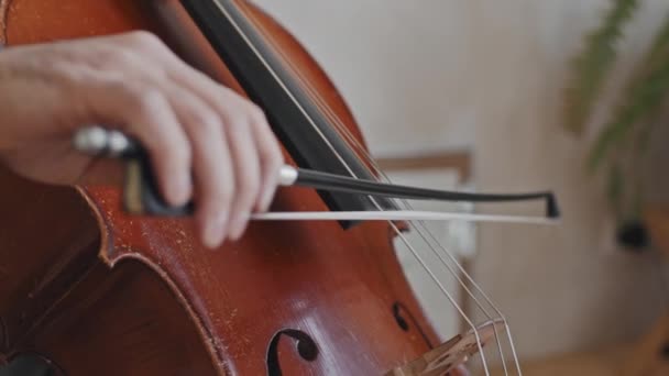 Kırpılmış Erkek Müzisyenin Düşük Açılı Yan Görüntüsü Gündüz Vakti Içeride — Stok video