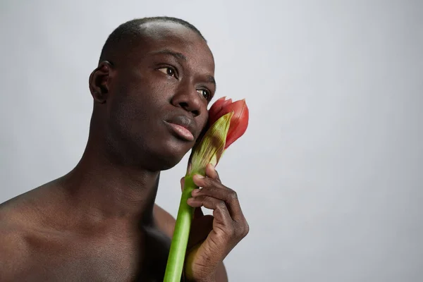 Hombre arreglado posando con flor —  Fotos de Stock