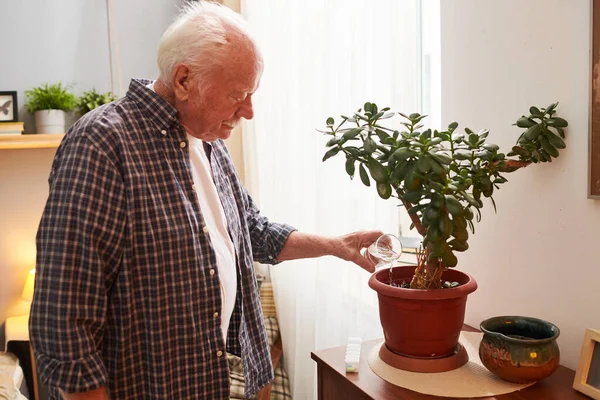 Συνταξιούχος άντρας με γκρίζα μαλλιά ποτίζει οικιακό φυτό — Φωτογραφία Αρχείου