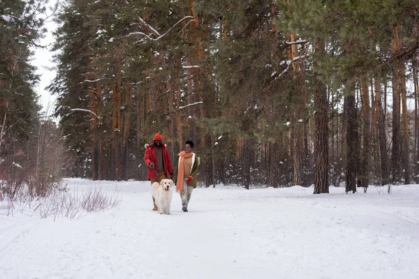 Пара с собакой в лесу — стоковое фото