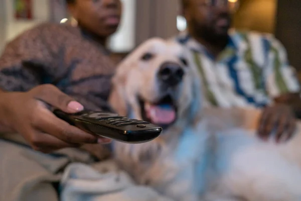 Семья с собакой смотреть телевизор — стоковое фото