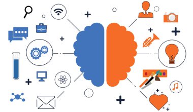 Beynin vektör çizimi. Yaratıcılığın mantığından ve sağ yarımküresinden sol yarıküre sorumludur. Beyaz arkaplandaki izole resim.