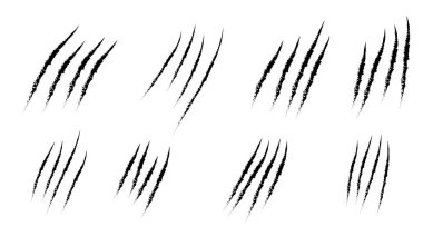 Hayvan pençesi tırnak izleri. Kedi kaplanı pençe şeklini çizer. Beyaz arkaplanda izole edilmiş