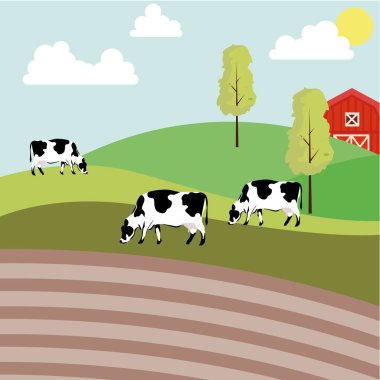 Otlakta otlayan, ot yiyen süt inekleri. Çiftlik hayvanları, çayır inekleri. Çiftlik arazisindeki sığırlar. Köy sahası. Kırsal alan. Çiftliğin düz vektör çizimi