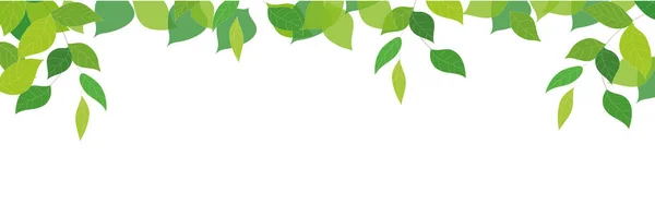Φρέσκα Πράσινα Φύλλα Άσπρο Φόντο Εικονογράφηση Φορέας — Διανυσματικό Αρχείο