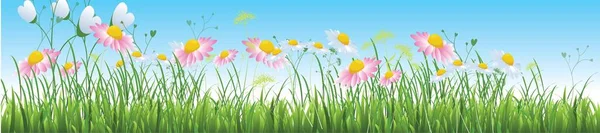 Vektor Sommer Natur Hintergrund Gänseblümchen Blumen Feld — Stockvektor