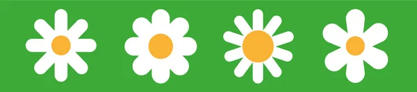 Λουλούδι Λευκό Εικονίδια Που Εικονίδιο Χαμομηλιού Απλό Sumbol Ρέει Στο — Διανυσματικό Αρχείο