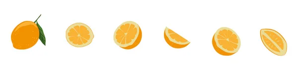 Ilustracja Wektora Pomarańczowego Ikona Pomarańczowego Owocu Świeża Pomarańcza Izolowana Białym — Wektor stockowy