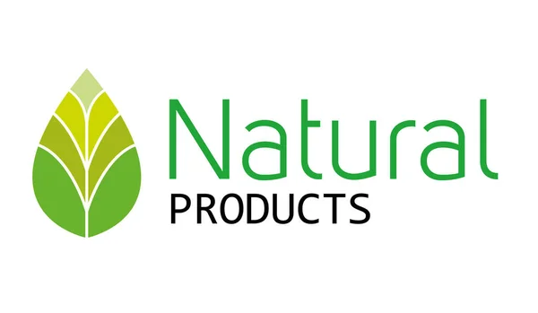 Doğal Ürün Logosu Tasarım Vektör Şablonu Yaprak Simgesi — Stok Vektör