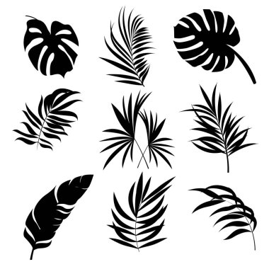 Beyaz arka planda izole edilmiş palmiye yaprakları. EPS10 vektörü