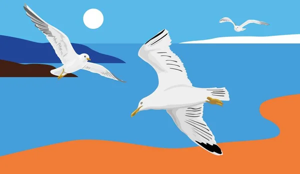 Landscape Gulls Sea Islands Sky Sun Flaying Seagulls Vector Illustration — Stockvector