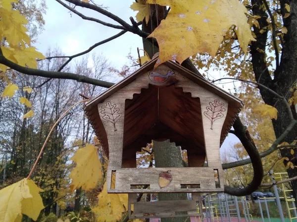 Деревянный Птичий Домик Парке — стоковое фото