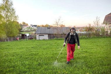 Çiftçiler tarlaya koruyucu giysiler giyerek böcek ilacı sıkarlar. Uygun bir korumalı böcek ilacı spreyi. Yabani otlar ve karahindiba ile ot tedavisi. Uzayı kopyala Bahçe bakımı sezonu. Erkek.