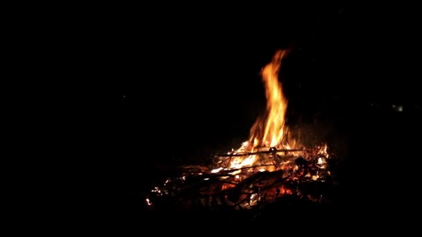 Grande Fogueira Bonita Fundo Preto Chamas Fogo Sério Arder Incomodado — Vídeo de Stock