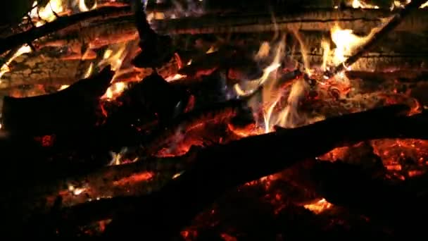 Velký Krásný Táborák Černém Pozadí Skutečné Plameny Ohně Hoří Zážeh — Stock video