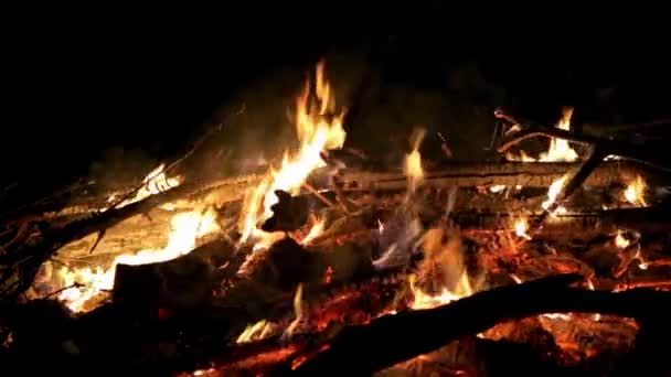 Большой Красивый Костер Черном Фоне Настоящее Пламя Огня Жжёт Загорелся — стоковое видео