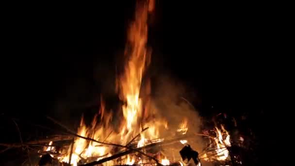 黑色背景上漂亮的篝火 真的失火了燃烧 被点燃了夜间篝火 自然景观 户外娱乐活动 秋季花园清洁 特写侧视图 — 图库视频影像